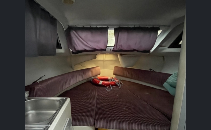 Cranchi Holiday-kuva-3